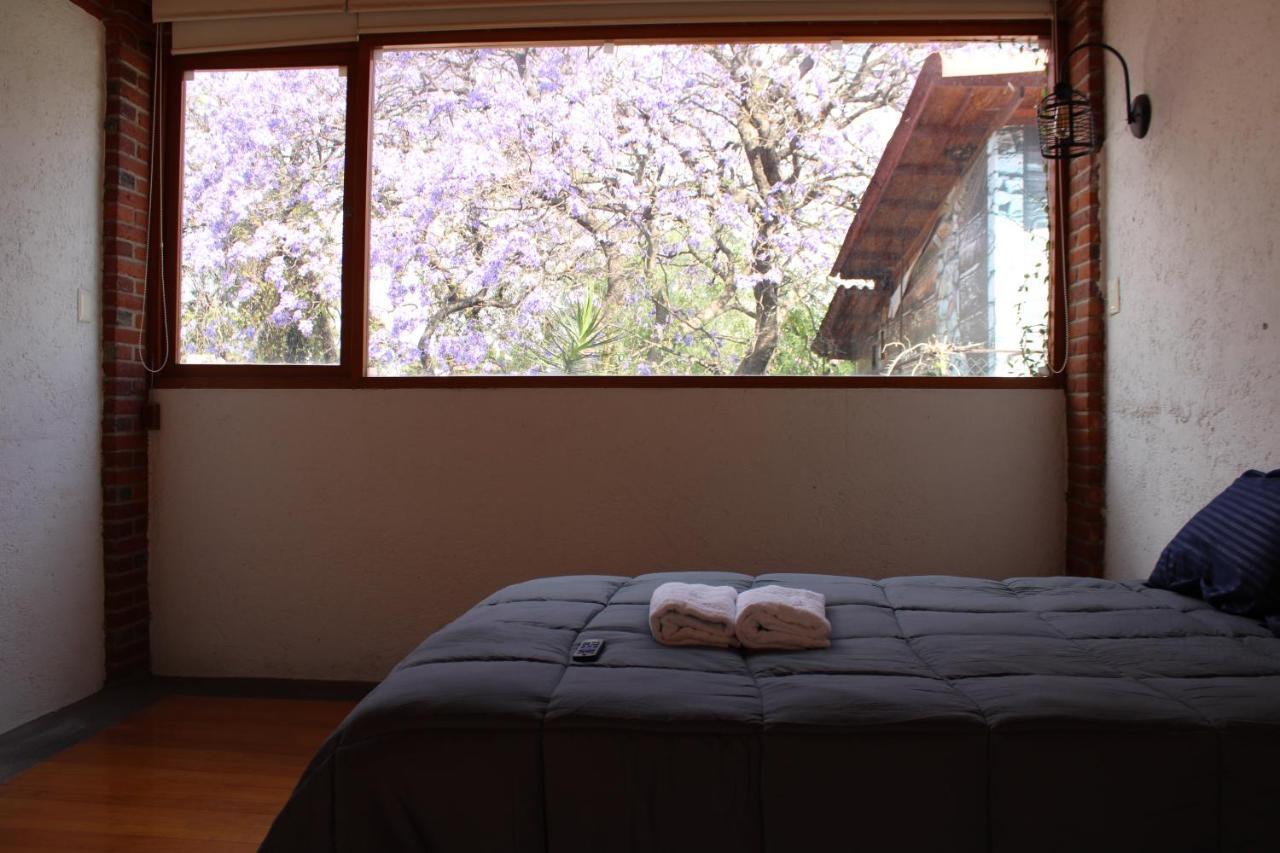 Casa Frida Coyoacan เม็กซิโกซิตี้ ภายนอก รูปภาพ